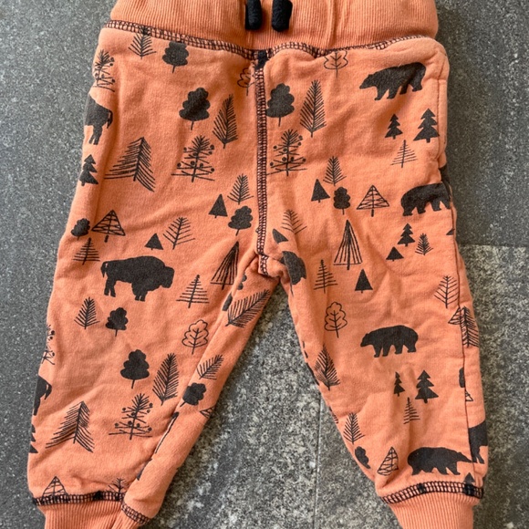 9-12 month bison and bear sweat suit - Picture 3 of 4
